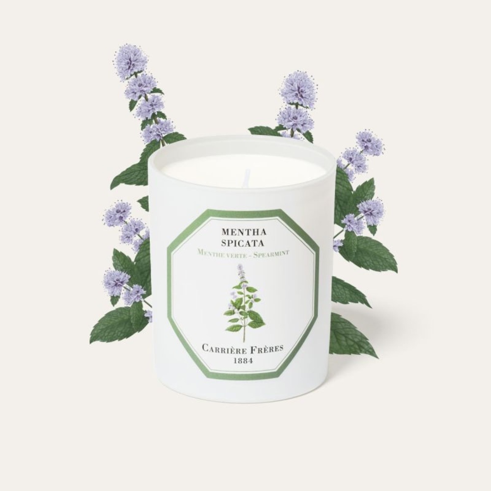 carriere freres Mentha Spicata Candle